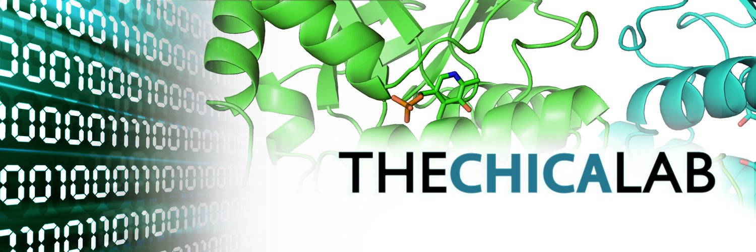 Roberto Chica Lab banner