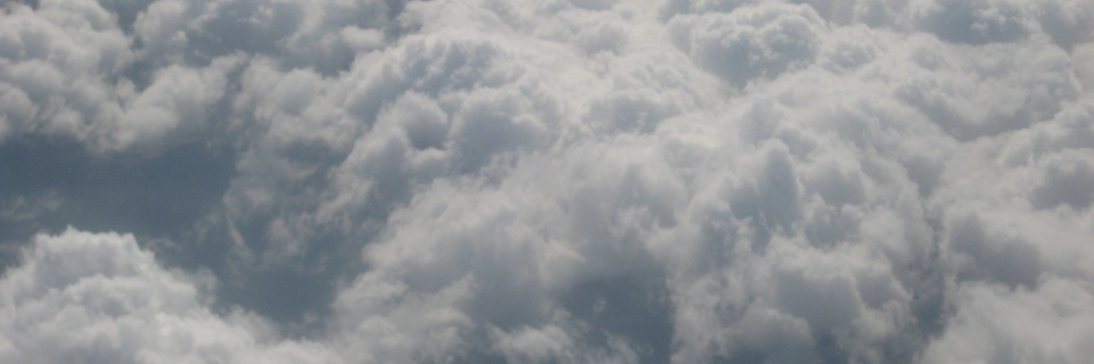 Rachel Gillmore banner