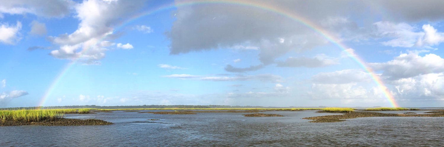 Nicole E Peckham banner