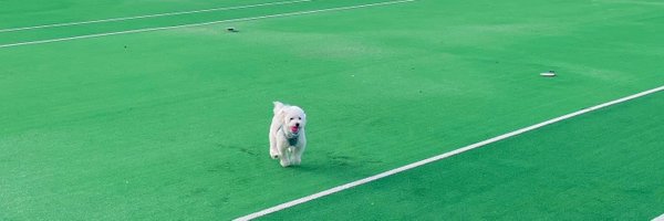 onakasuita_pbl Profile Banner