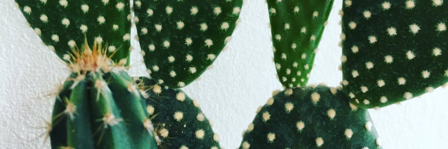 MsPants's profile banner image