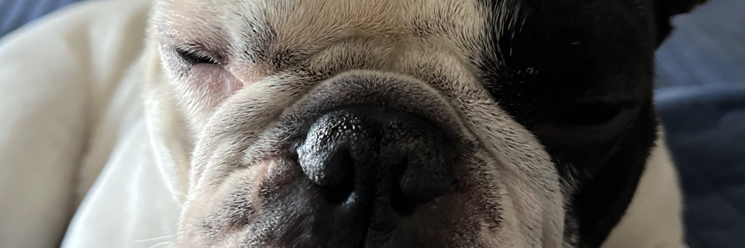 PabloMeritato's profile banner image