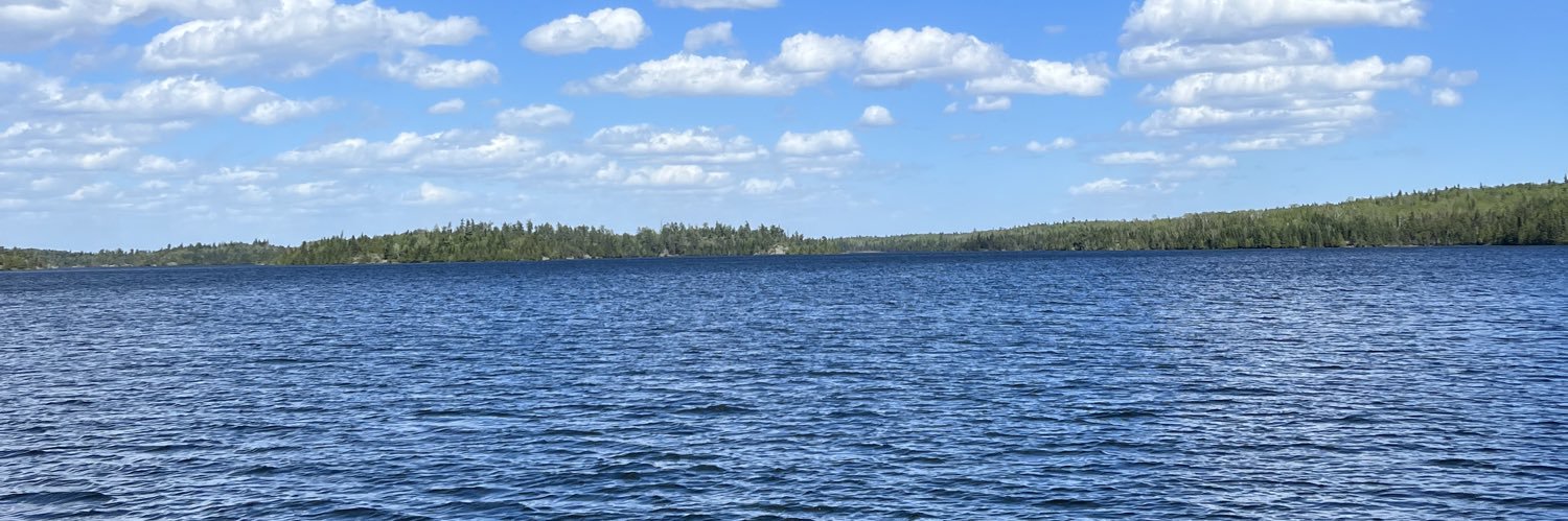 Art Walker IV banner