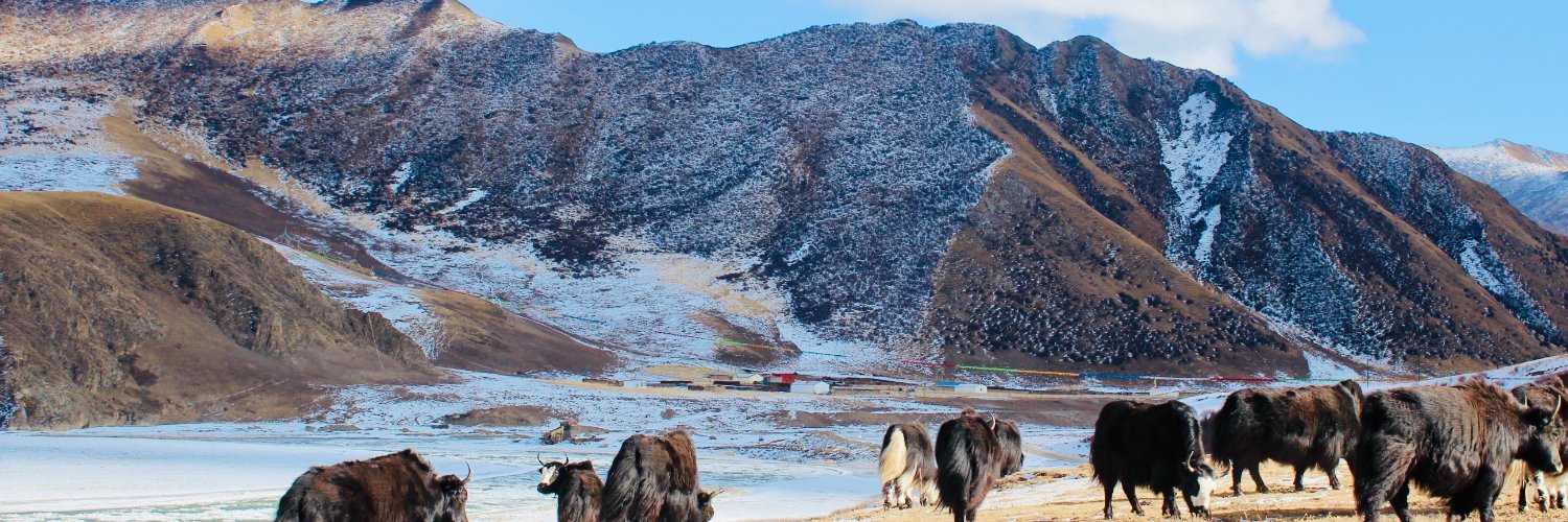 Pastoralism & Uncertainty banner