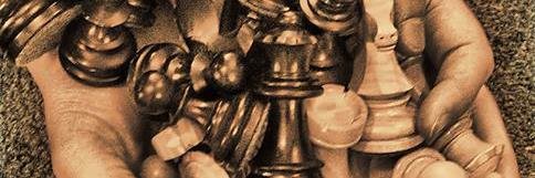 chessparrot's profile banner image
