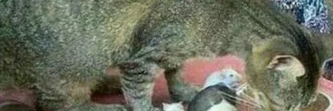 bchuri71's profile banner image