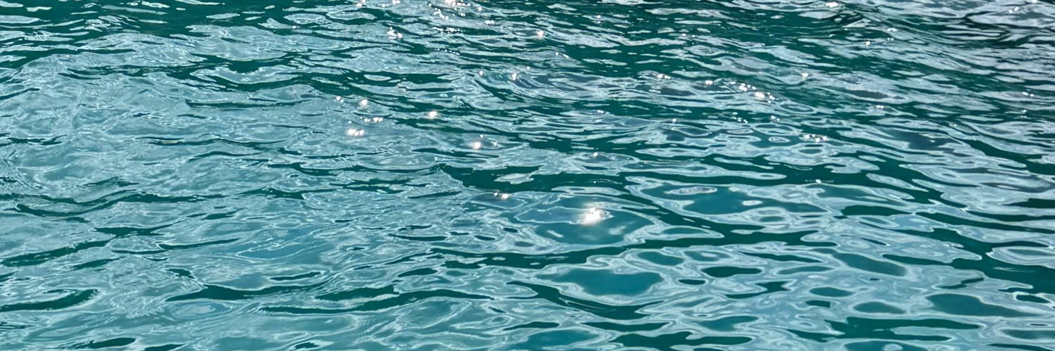 anamonfort9's profile banner image