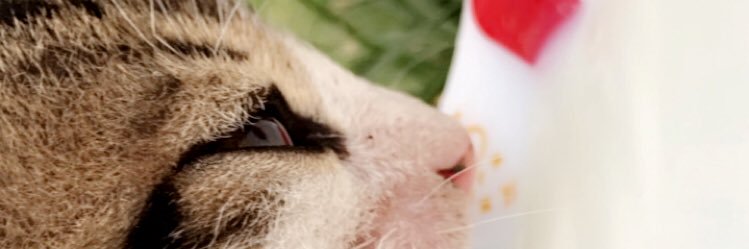 SerhatAkdas1's profile banner image