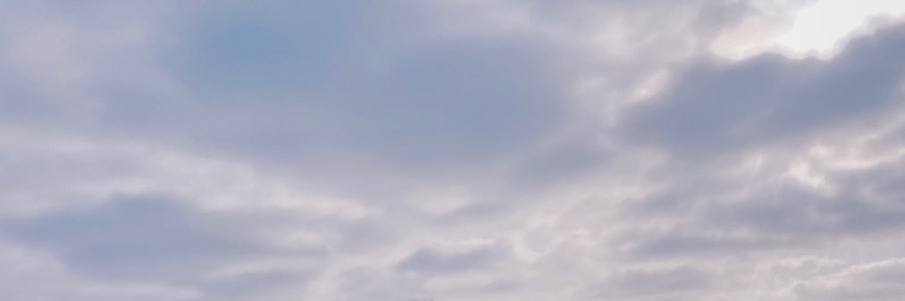 alilomeli's profile banner image