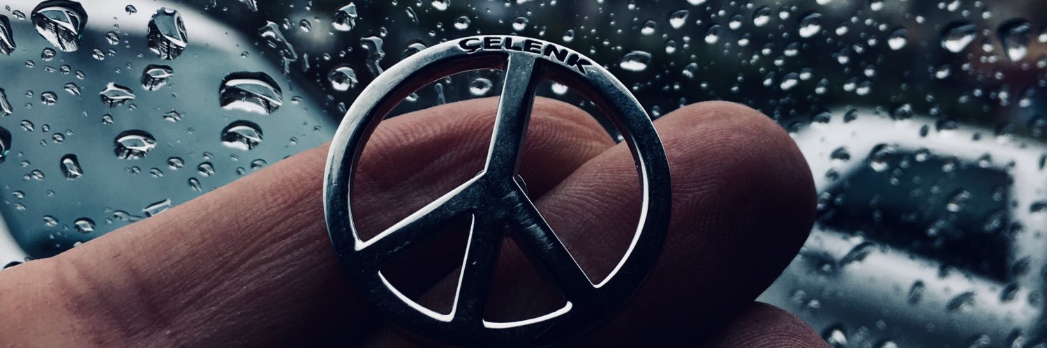 barischelenk's profile banner image
