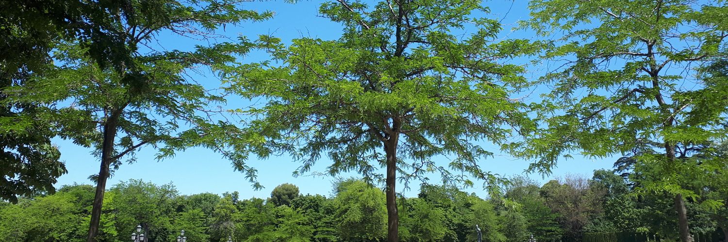 Lucía Fernández banner