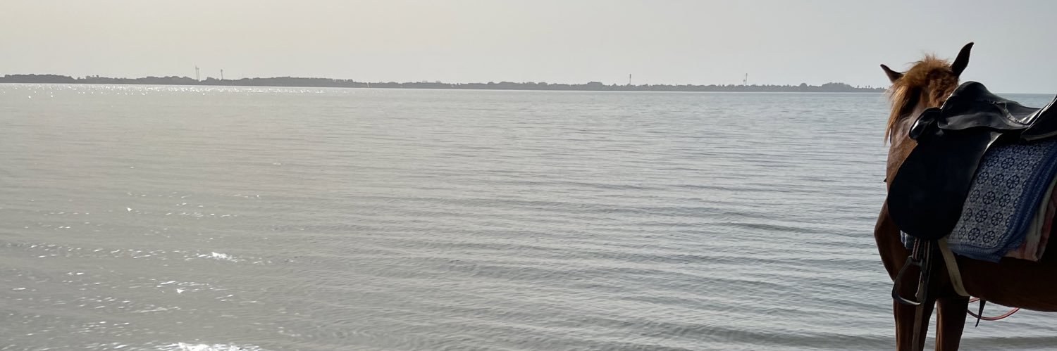 iiC411's profile banner image