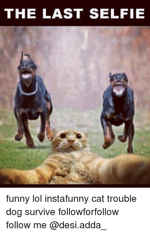 Philipa ♀️ banner