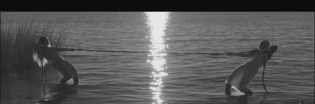 bellesamora's profile banner image