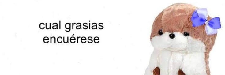 Reinaldo banner