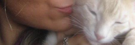 BaharinA46's profile banner image