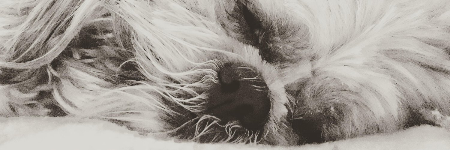 aborda29's profile banner image