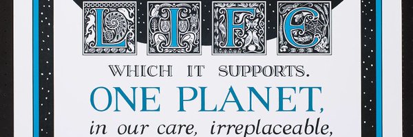 odinbaco Profile Banner