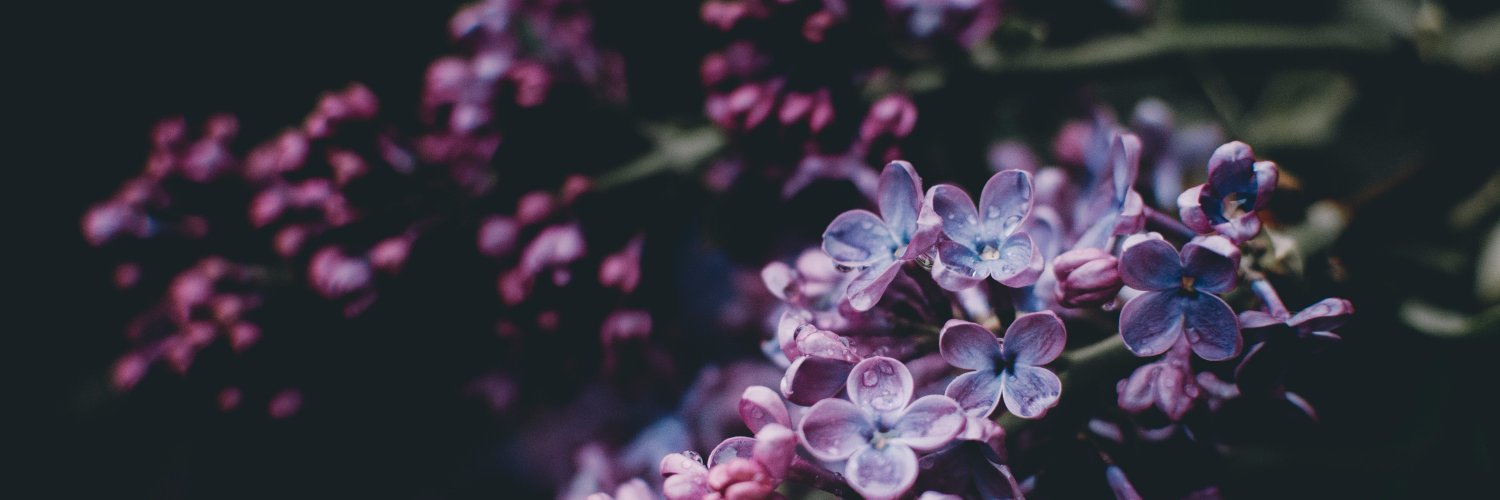 Christy Cummings, MD, HEC-C banner