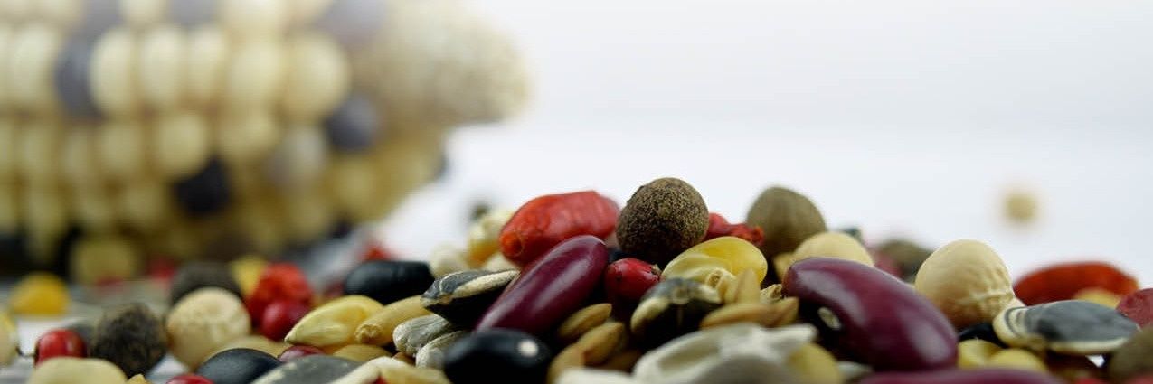 Fundación Comunidad A.C. banner