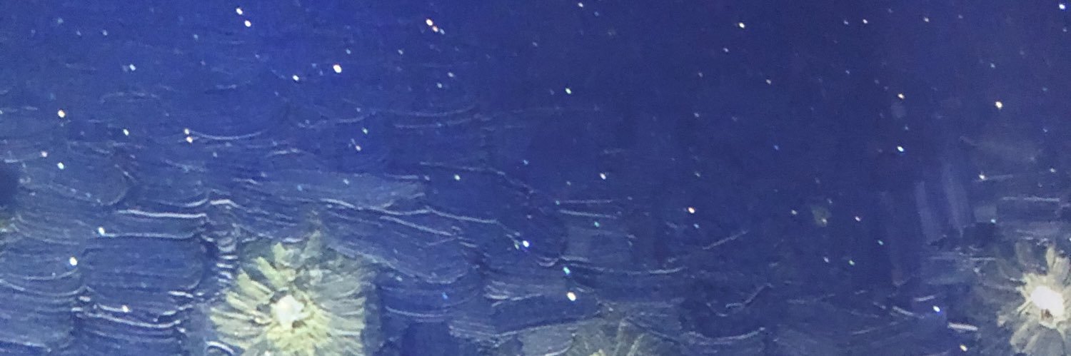 emsmrldo's profile banner image