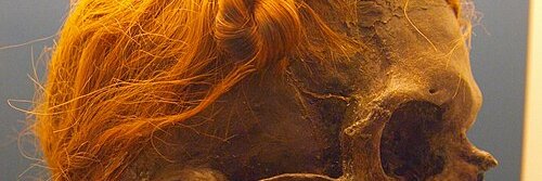 The_Dutch_Natsarim banner