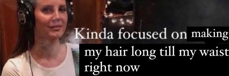 aina banner