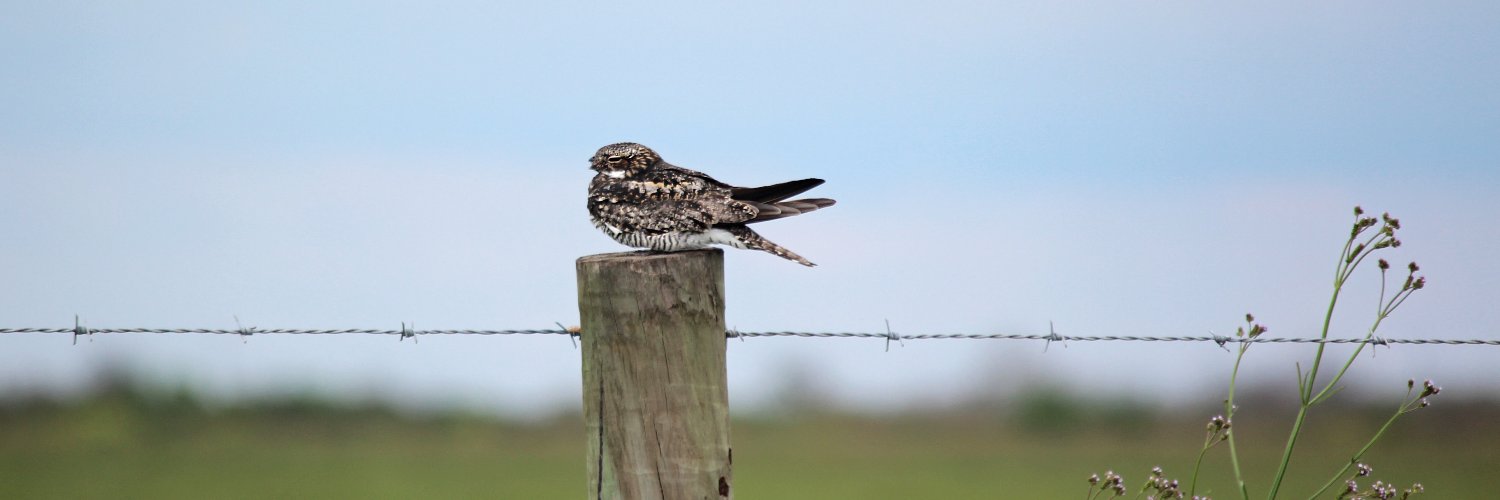 Kevin Bennett banner