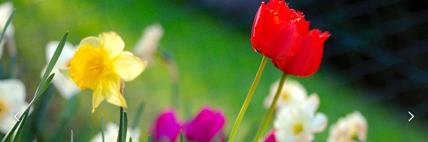 dubsaltogether's profile banner image