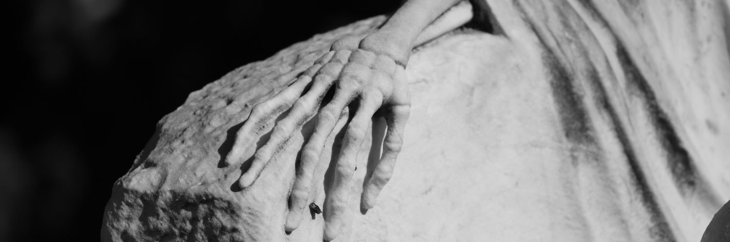 Mireia banner
