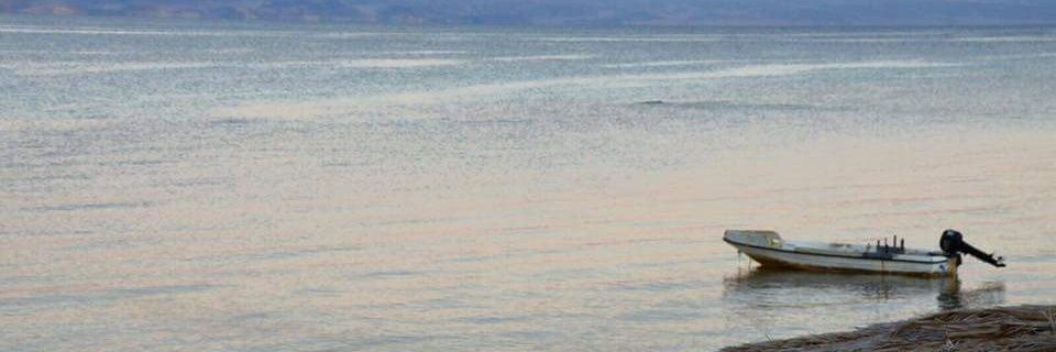 BilalElbazz's profile banner image