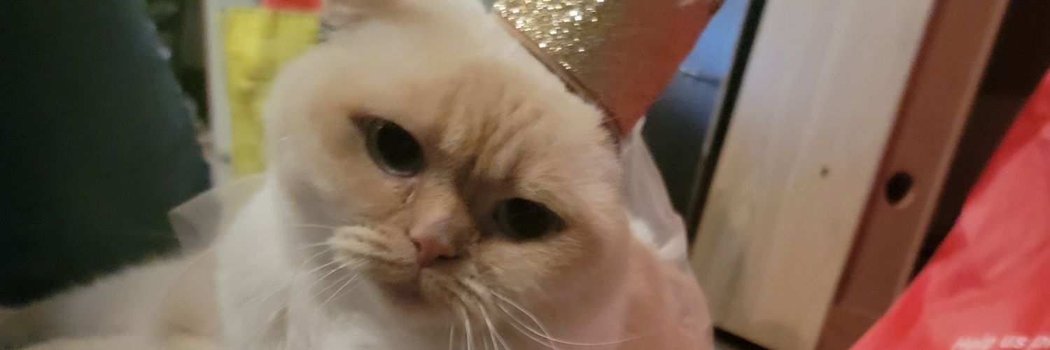 Michaelangelo banner