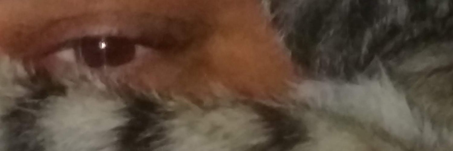 jdk0767's profile banner image