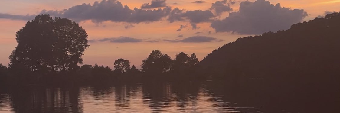 anniesonialee's profile banner image