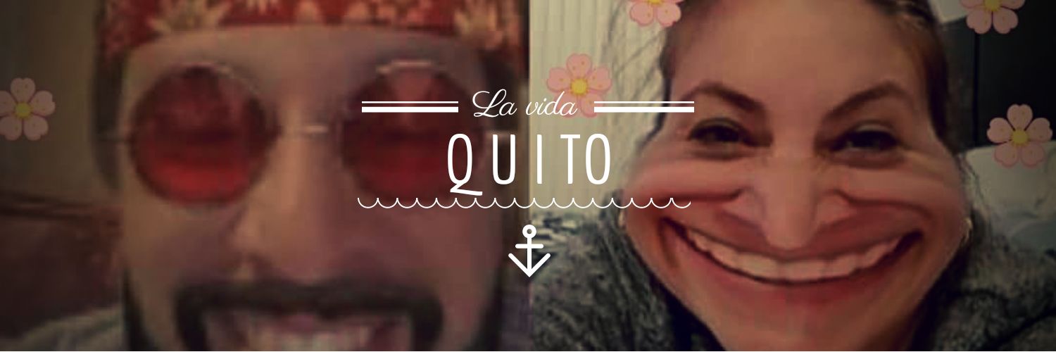 lularosero's profile banner image