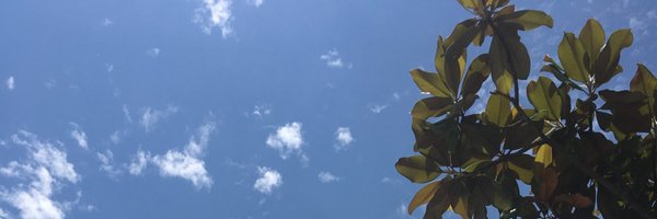 nayoung_heo Profile Banner