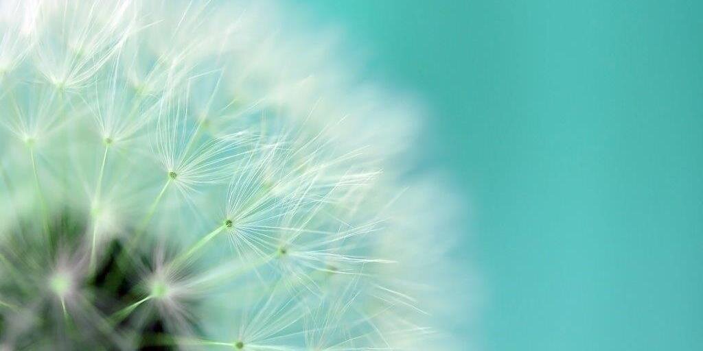 3D_Health's profile banner image