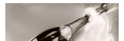 luca turner banner