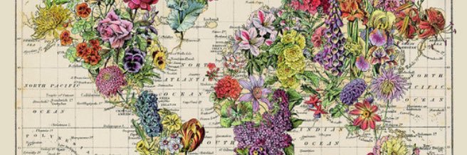 gina_fleites's profile banner image