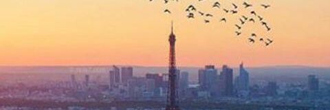 tamaragarcs's profile banner image