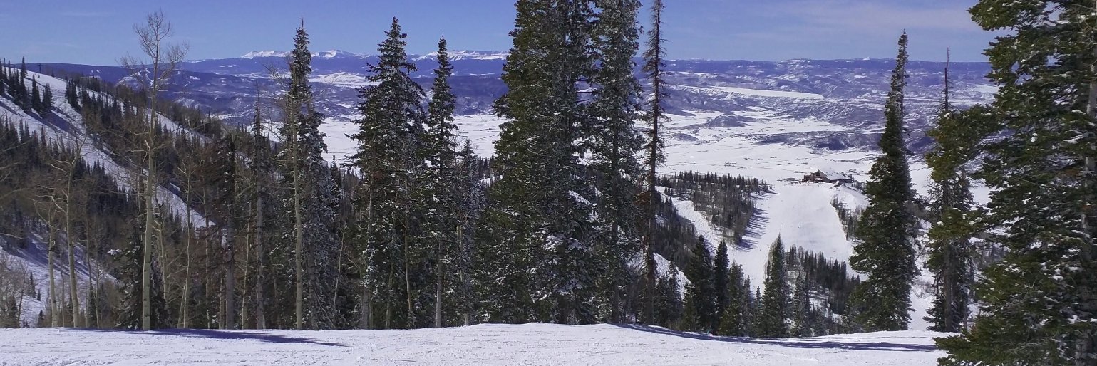 Jacquelyn S. Fetrow (she/her) banner