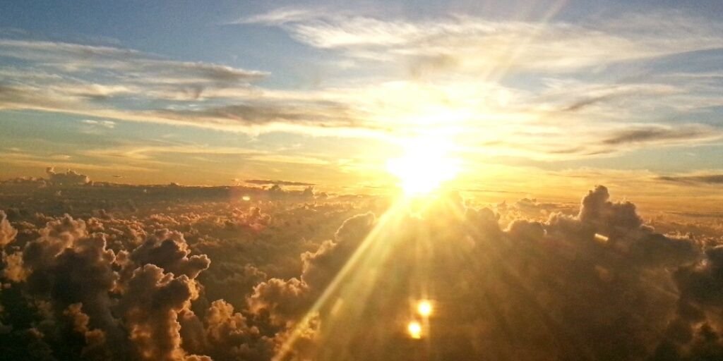 Andreia Ribeiro banner