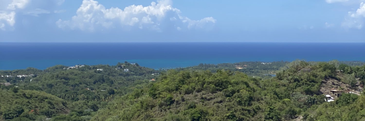 iLilBerry's profile banner image