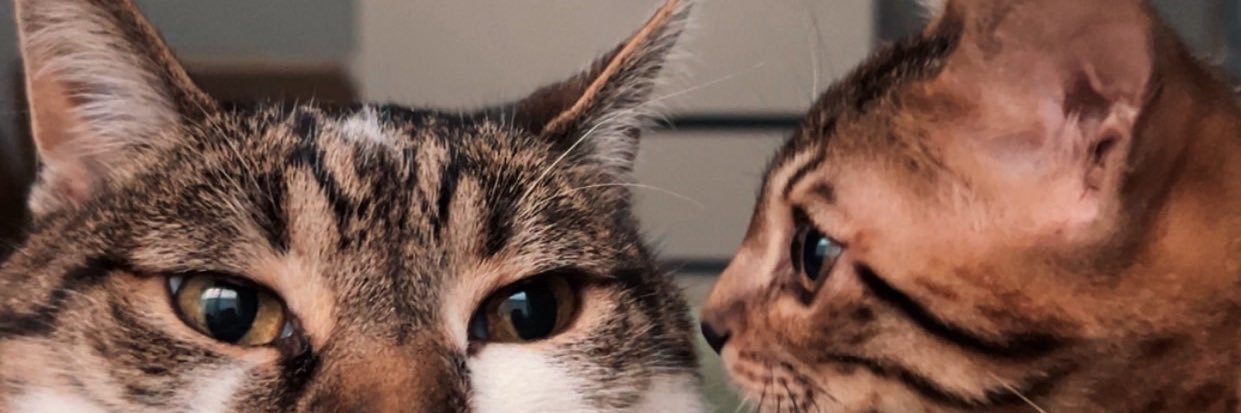 AnnaBixby's profile banner image
