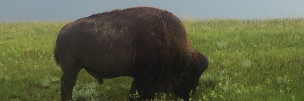 WellsAndres1 Profile Banner