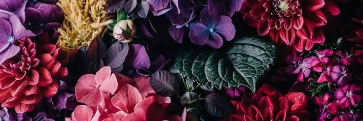 mattheficent's profile banner image