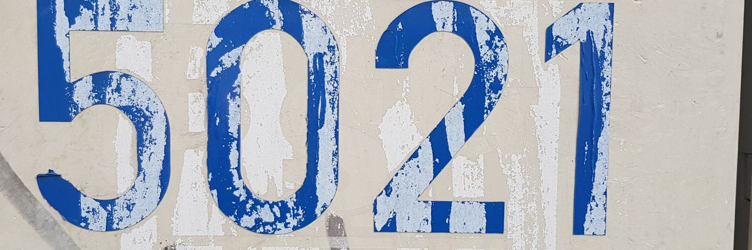0x5021's profile banner image