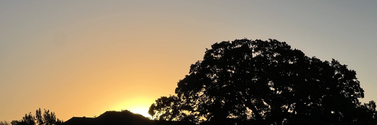 court ~the f*ckin lizard king~ banner