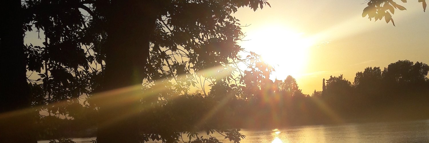 decimeazula's profile banner image