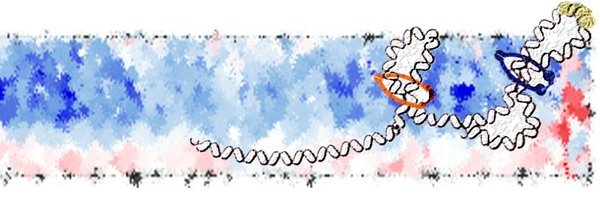VSLioy Profile Banner